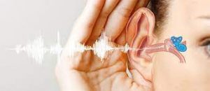 چگونه بفهمیم کم شنوایی داریم ؟